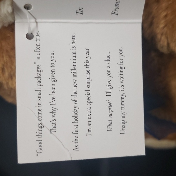 Carlyle & Co. NWT Zippered Tummy Teddy Bear - Picture 5 of 6